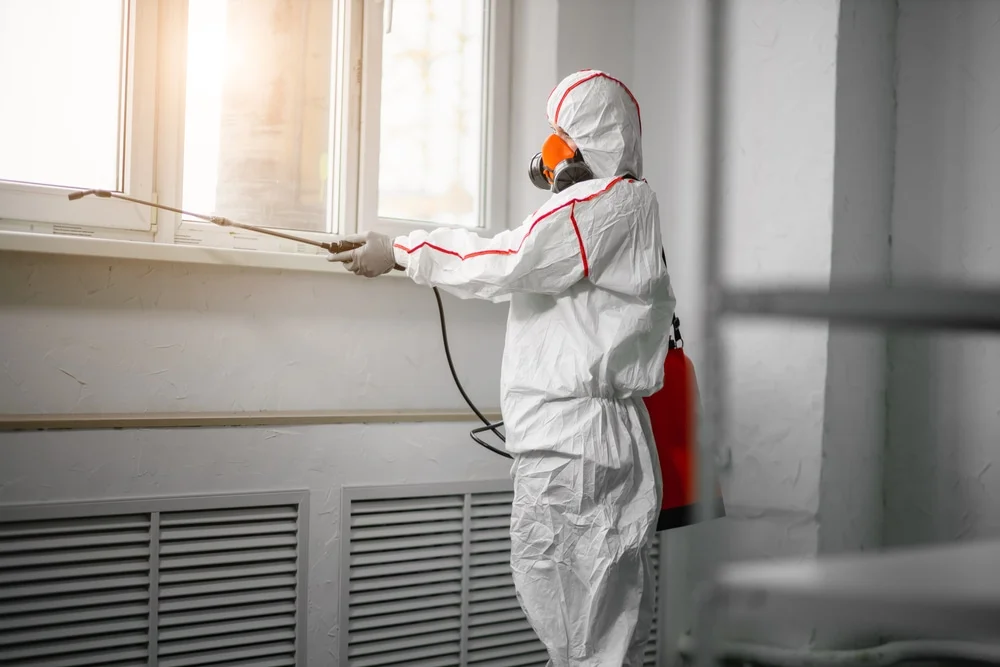 Professional mold remediation services in Yacolt, WA